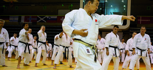 Die Japan Karate Association